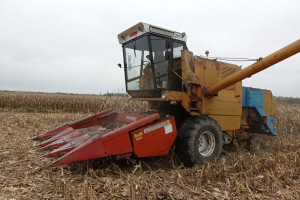 Kosimy kukurydzę Bizonem z przystawką PCA Geringhoff