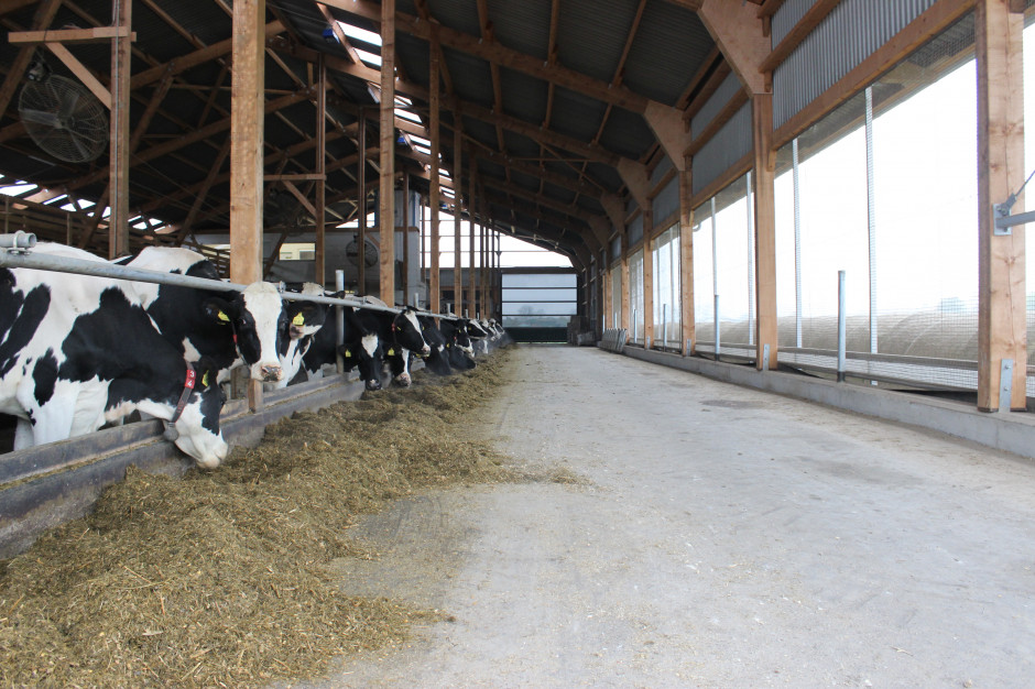 Inwestycje w produkcję mleka to niekiedy milionowe przedsięwzięcia, fot. Ł.Ch.
