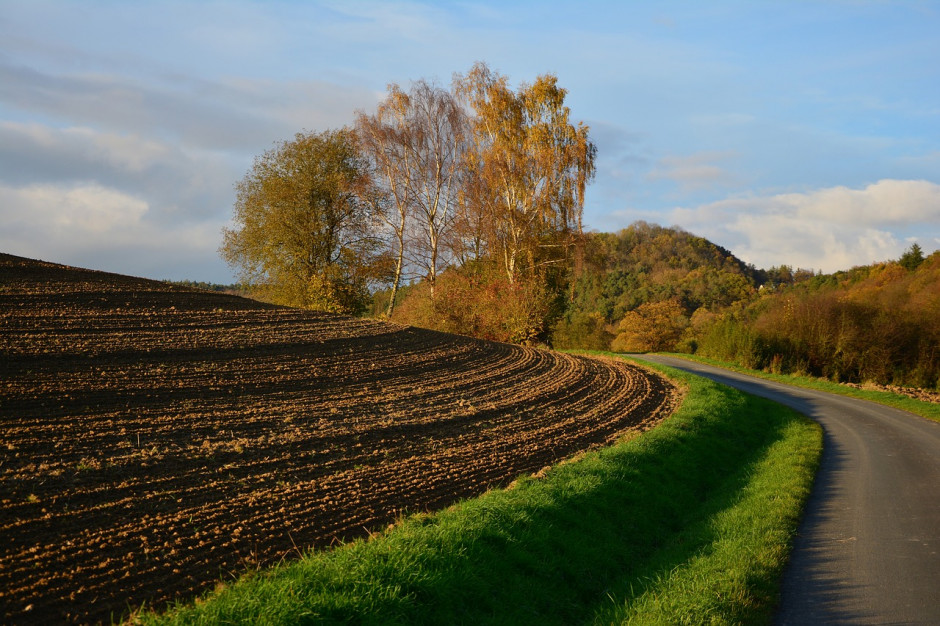Na Ukrainie rozpoczyna się przekształcanie 2 mln ha państwowych gruntów rolnych w komunalne; Fot.pixabay.com