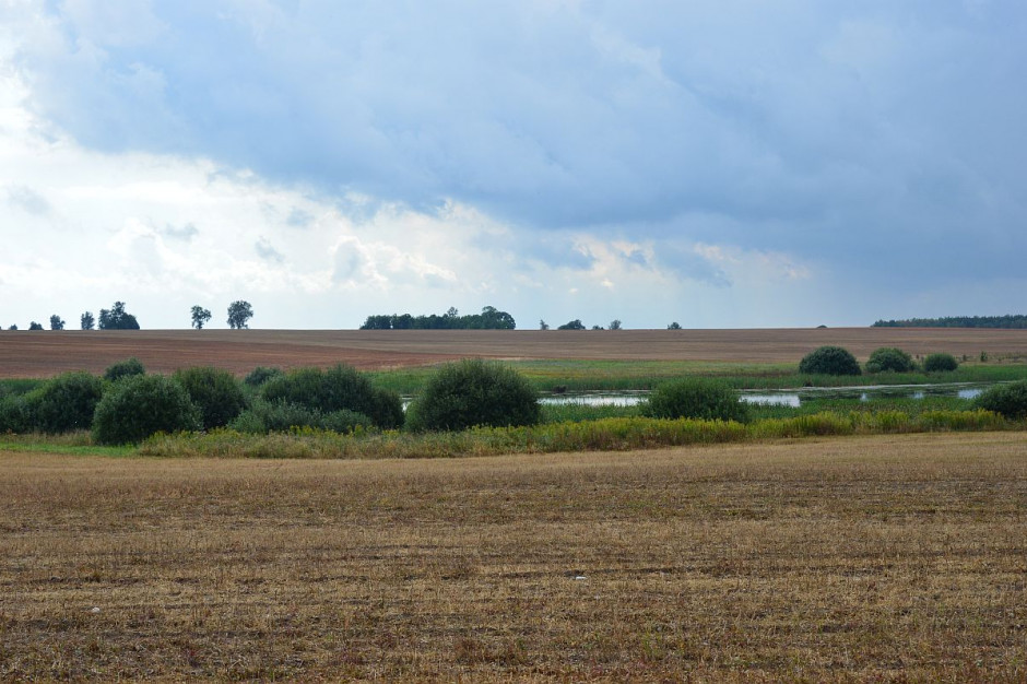 Fot. Katarzyna Szulc