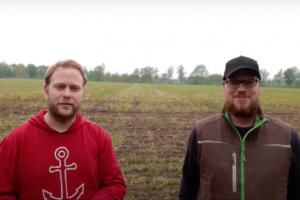 Niemcy: Doświadczenia dot. życia glebowego w uprawie bez pługa i glifosatu