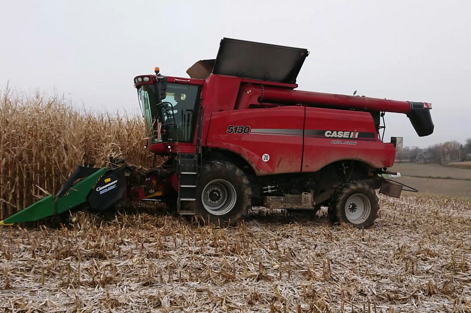 Case Axial Flow 5130 zdaniem operatora jest w stanie zebrać 30 t kukurydzy w godzinę. fot. Tomasz Kuchta