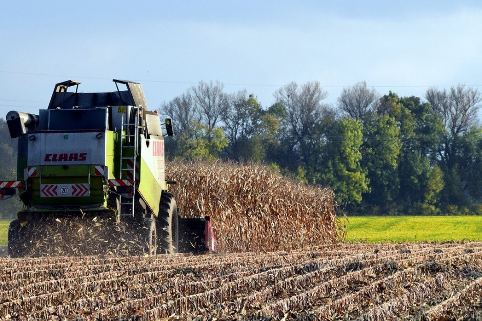APK-Inform spodziewa się spadku produkcji kukurydzy na Ukrainie do 31,8 mln ton w 2020 roku; Fot. pixabay .com