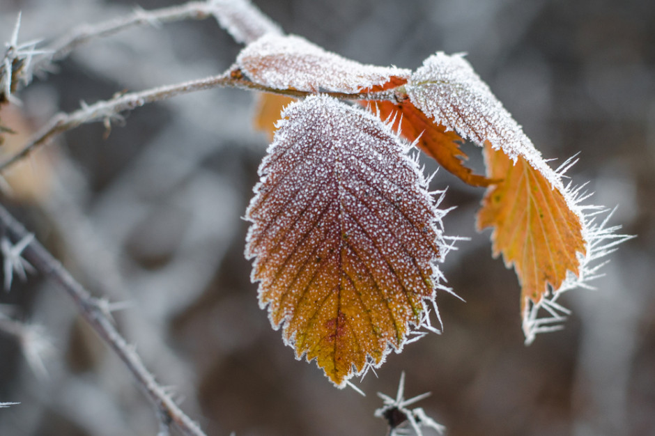 Z północnego zachodu napływa chłodne powietrze pochodzenia arktycznego. Fot.Shutterstock