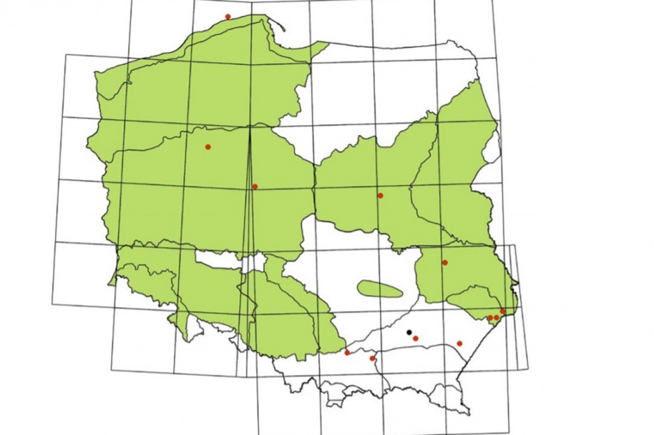 Rozmieszczenie stwierdzeń szarańczy wędrownej Locusta migratora w Polsce w latach 2001-2017 (kropki), na tle regionów gdzie gatunek ten był wcześniej odnotowany do roku 1967 (na zielono). Kropka czarna - stanowisko wcześniej publikowane. Źródło: Przegląd Przyrodniczy XXX, 1 (2019): 66-76