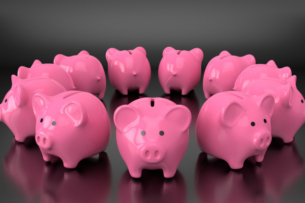 W ubiegłym tygodniu odnotowano nieduży spadek cen tucznika Fot.Shutterstock Ceny tuczników spadają pomimo stabilizacji w Niemczech