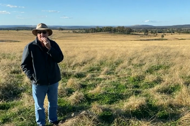 Rolnictwo regeneratywne na świecie: Pasture cropping w Australii