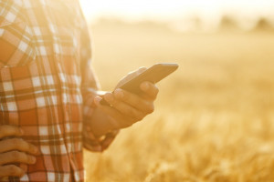 365FarmNet: Czy gospodarstwo zmieści się w smartfonie?!
