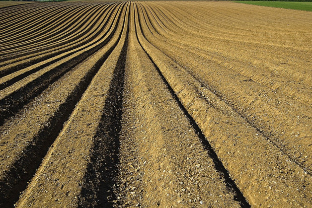 KE: Otwarto ankietę internetową o poprawie stanu gleby