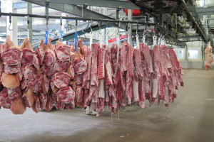 Ukraińcy chcą ograniczenia importu wieprzowiny z UE