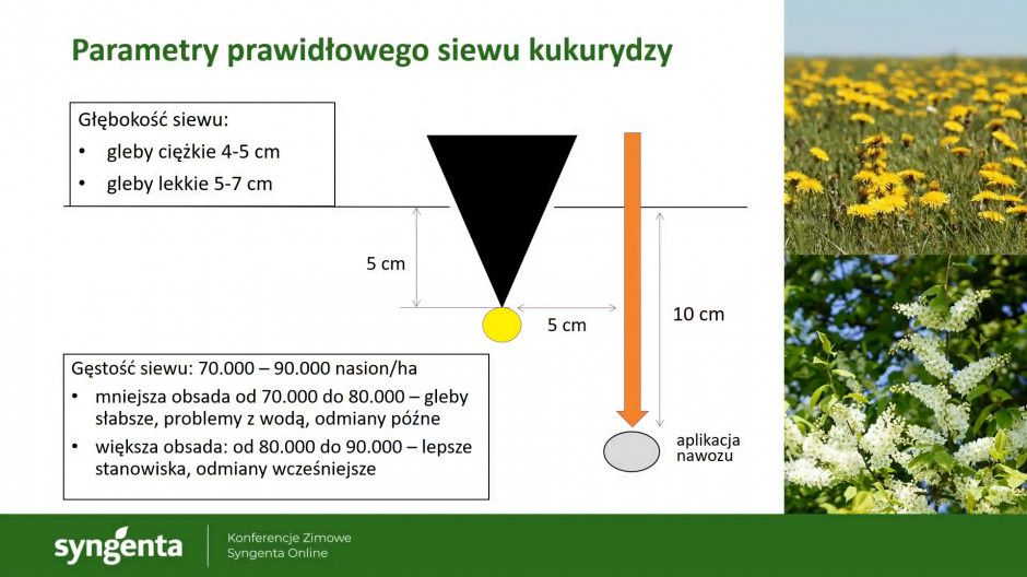 Konferencja zimowa - parametry prawidłowego siewu kukurydzy, Syngenta