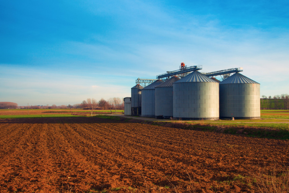 Niemcy: Ceny zbóż otrzymywanych przez rolników w marcu 2021 r. były o 25,2  proc. wyższe niż przed rokiem; Fot. Shutterstock
