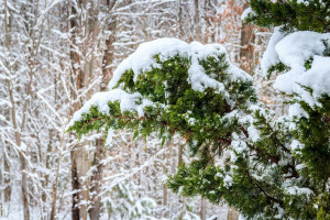 Synoptyk IMGW: opady śniegu na wschodzie Polski; od poniedziałku powrót mrozów