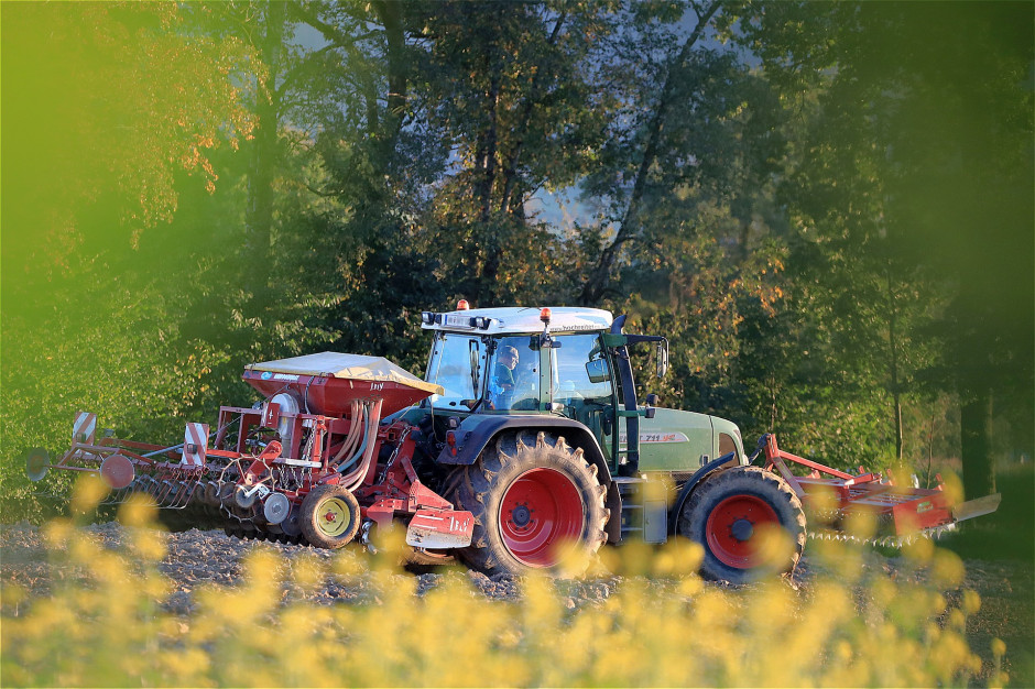Jak dochodzić swoich praw przy bezumownym korzystaniu z działki rolnej? Foto. Franz W., Pixabay