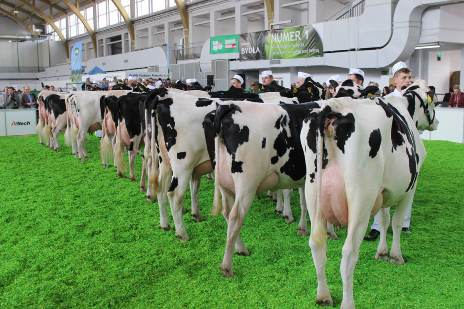 Temat wykorzystania narzędzi hodowlanych w realizacji Zielonego Ładu będzie poruszany na sesji "Produkcja mleka" podczas NWwR 2022