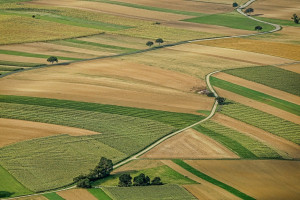 Większość Ukraińców nie chce sprzedawać swojej ziemi