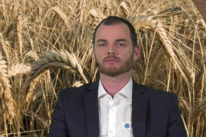 PIdS Online: Ochrona zbóż a wiosenne spadki temperatur