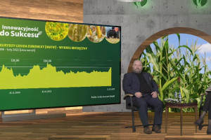 Co się dzieje na rynku kukurydzy?