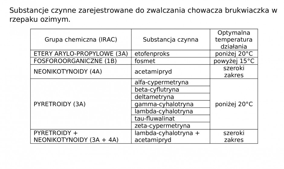 Przy zwalczaniu chowaczy należy zwracać uwagę na temperatury działania wybranych insektycydów