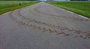 Błoto na drodze - posprzątaj albo słono płać!