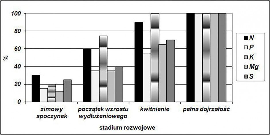 Akumulacja składników mineralnych przez rzepak ozimy w okresie wiosennej wegetacji