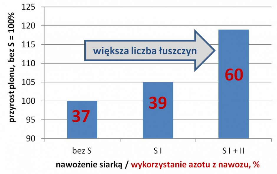 Wpływ dostępności siarki w okresie wegetacji rzepaku ozimego na plon i wykorzystanie azotu z nawozów (SI – dobra dostępność przed kwitnieniem SI+II – dobra dostępność przed kwitnieniem i później opracowano na podstawie Potarzycki 2015)