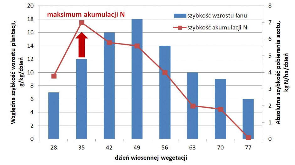 Szybkość wzrostu łanu rzepaku a tempo akumulacji azotu (opracowano na podstawie Grzebisz 2011)