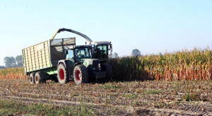 Ile kosztuje usługowe koszenie kukurydzy na kiszonkę?