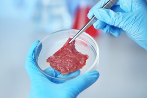 Izrael: Roślinne mięso alternatywne wydrukowane w 3D trafia na rynki europejskie
