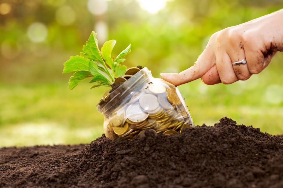 Aby osiągnąć efektywne plony, musimy zadbać o odpowiednią kondycję gleby, fot. Shutterstock
