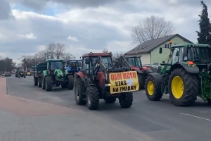 Dostawcy mleka protestowali przed siedzibą OSM w Kole