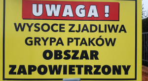 KRD-IG: Polska oficjalnie wolna od grypy ptaków