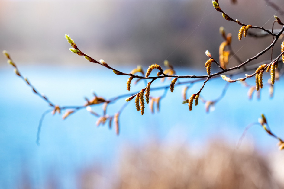 Na wiosenną aurę można liczyć w drugiej połowie marca, fot. Shutterstock