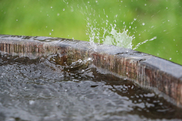 Wielu miejscom na świecie grozi kryzys wodny, fot. shutterstock Światowa Organizacja Meteorologiczna ostrzega przed kryzysem wodnym