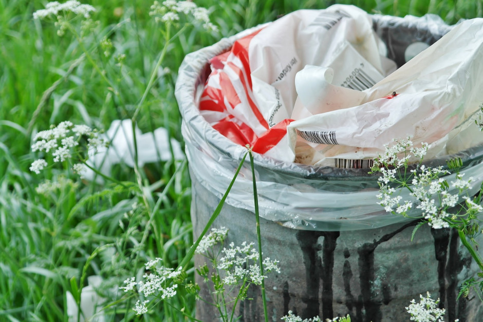 Usuwanie folii rolniczych i innych odpadów pochodzących z działalności rolniczej pozostaje problemem; fot. RitaE z Pixabay