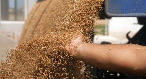 Poszukiwane są alternatywne kierunki importu zbóż