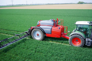 Kiedy i czym dokonać wiosennej regulacji zbóż?