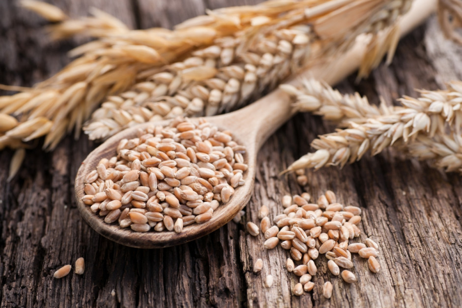 APK-Inform prognozuje zbiory pszenicy na Ukrainie  w 2021 r. na 27,5 mln ton; Fot. Shutterstock