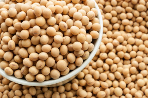 USDA: Mniejsza prognoza produkcji nasion oleistych
