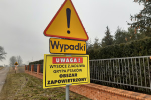 W Polsce już ponad 100 ognisk grypy ptaków