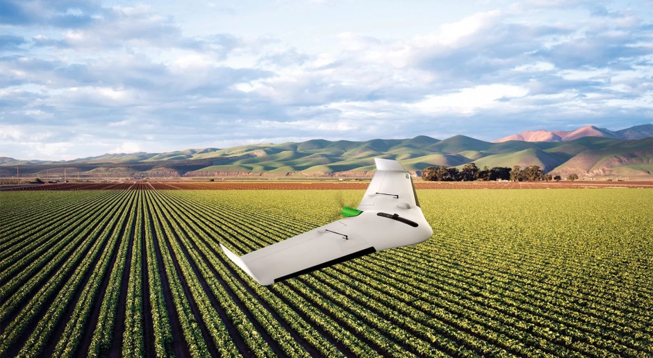 Użyty w eksperymencie dron mapujący Delair UX11 Ag może latać autonomicznie przez 55 minut, co odpowiada powierzchni 150 ha w normalnych warunkach. Jego cena to 16 tys. euro, fot. mat. prasowe