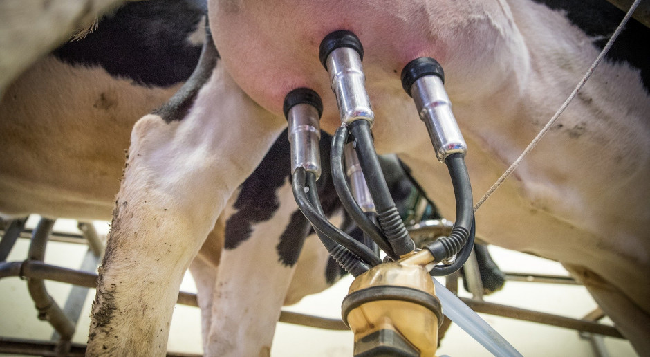 Produkcja mleka konwencjonalnego w UE spowolni, a ekologicznego wzrośnie