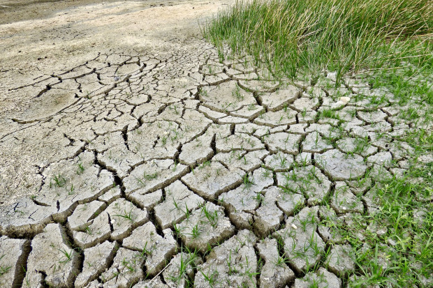 IMGW: W Polsce od lat nasila się zjawisko suszy