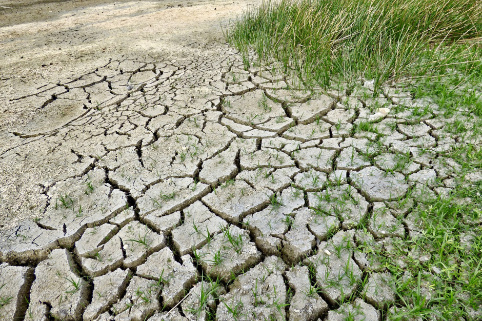 Susza to - jak tłumaczy IMGW - niedobór wody na danym terenie, który jest klasyfikowany według następujących po sobie faz, fot. Pixabay