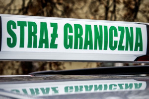 Zatrudniał Ukraińców w nieistniejącym sadzie
