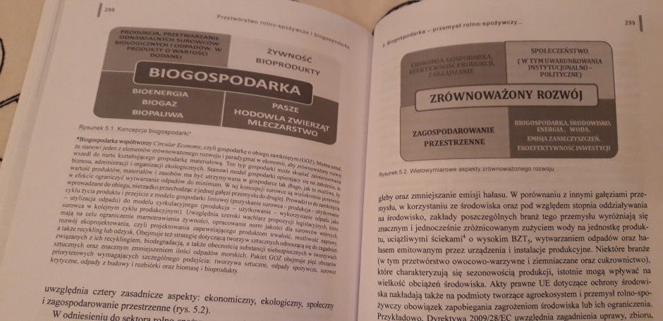 Przetwórstwo rolno-spożywcze i biogospodarka. Wybrane zagadnienia inżynieryjno-produkcyjne, biotechniczne, energetyczne i środowiskowe