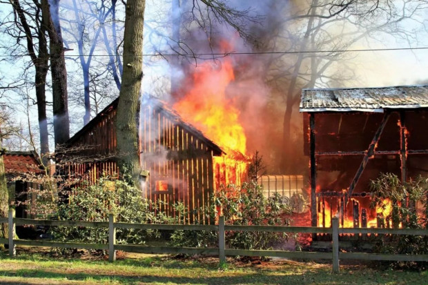 Milionowe szkody po pożarze na niemieckiej fermie
