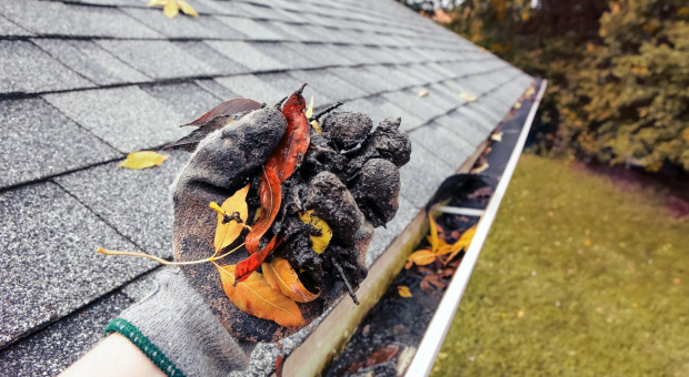 O czym należy pamiętać przygotowując dach i rynny na zimę?