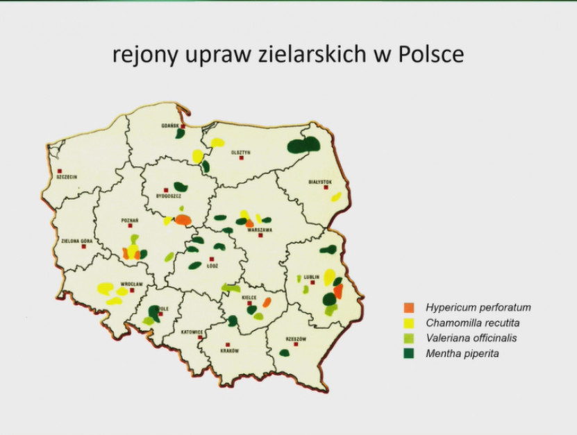 slajd z prezentacji - Jerzy Jambor, PKN