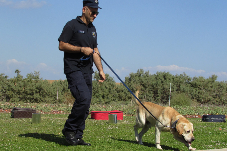Czy policyjne psy i konie uzyskają dożywotnie utrzymanie? fot. Dimitris Vetsikas z Pixabay